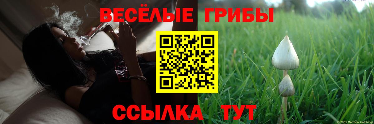 Галлюциногенные грибы MAGIC MUSHROOMS  Галлюциногенные грибы GOLDEN TEACHER  Нерюнгри  Вход с VPN 